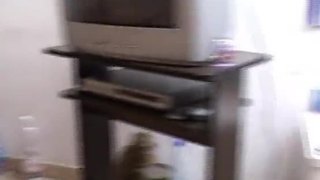 My mother and father fuck at home in front of the cameras for the first time.
