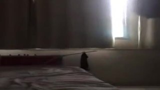 Pornoamador.video - morena da usp chupando a piroca do professor de historia