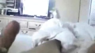 Amateurwow.com - honeymoon couple - homemade porn videos