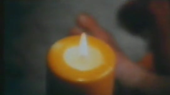 Il caldo letto della vergine (1980)