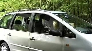 Pickup stepmom for backseat anal sex