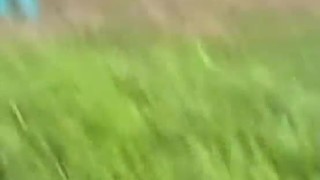 Japanese public sex - watch full: http://jpbabe.com